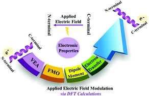 Graphical abstract: Electric field controlled uphill electron migration along α-helical oligopeptides