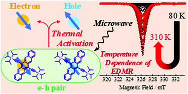 Graphical abstract: Photogenerated carrier dynamics of TIPS-pentacene films as studied by photocurrent and electrically detected magnetic resonance