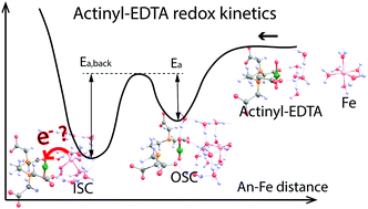 Graphical abstract: Exploring the kinetics of actinyl–EDTA reduction by ferrous iron using quantum-mechanical calculations