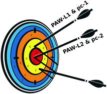 Graphical abstract: Polarization consistent basis sets using the projector augmented wave method: a renovation brought by PAW into Gaussian basis sets