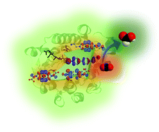 Graphical abstract: Theoretical study on CO2 reduction catalyzed by formate dehydrogenase using the cation radical of a bipyridinium salt with an ionic substituent as a co-enzyme