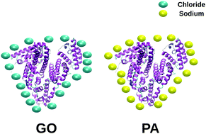 Graphical abstract: Effect of an ionic environment on membrane fouling: a molecular dynamics study