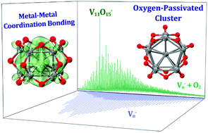 Graphical abstract: An oxygen-passivated vanadium cluster [V@V10O15]− with metal–metal coordination produced by reacting Vn− with O2