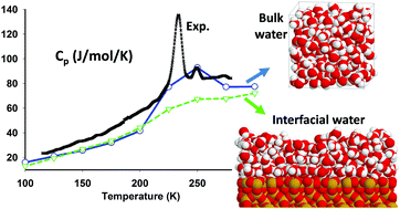 Graphical abstract: Bulk supercooled water versus adsorbed films on silica surfaces: specific heat by Monte Carlo simulation