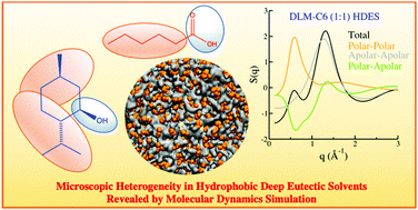 Graphical abstract: Heterogeneity in hydrophobic deep eutectic solvents: SAXS prepeak and local environments