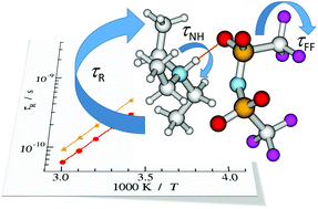 Graphical abstract: Insights into the translational and rotational dynamics of cations and anions in protic ionic liquids by means of NMR fast-field-cycling relaxometry