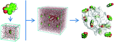 Graphical abstract: Fragment dissolved molecular dynamics: a systematic and efficient method to locate binding sites