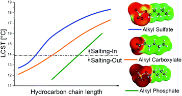 Graphical abstract: Salting-in and salting-out effects of short amphiphilic molecules: a balance between specific ion effects and hydrophobicity