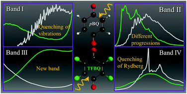 Graphical abstract: Perfluoro effect on the electronic excited states of para-benzoquinone revealed by experiment and theory