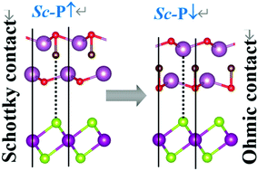 Graphical abstract: Interface-induced transition from Schottky-to-Ohmic contact in Sc2CO2-based multiferroic heterojunctions