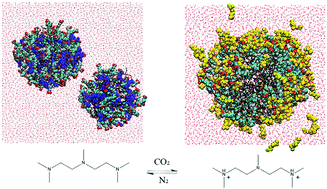 Graphical abstract: Computational investigation of a switchable emulsion stabilized by the mixture of a surfactant and tertiary amine