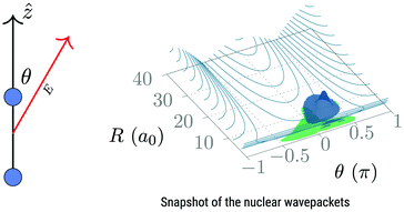 Graphical abstract: Anti-alignment driven dynamics in the excited states of molecules under strong fields