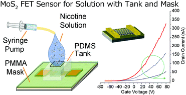 Graphical abstract: Microfluidic tank assisted nicotine sensing property of field effect transistor composed of an atomically thin MoS2 channel