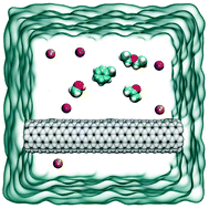 Graphical abstract: Molecular perspective on charge-tunable adsorption of volatile organic compounds on carbon nanotubes