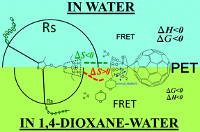 Graphical abstract: Cationic polythiophene–anionic fullerene pair in water and water–dioxane: studies on hydrogen bonding capabilities, kinetic and thermodynamic properties