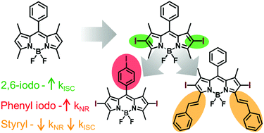 Graphical abstract: Impact of iodine loading and substitution position on intersystem crossing efficiency in a series of ten methylated-meso-phenyl-BODIPY dyes