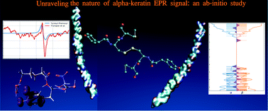 Graphical abstract: Unravelling the nature of the α-keratin EPR signal: an ab initio study