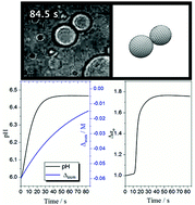 Graphical abstract: Shape changes and budding of giant vesicles induced by an internal chemical trigger: an interplay between osmosis and pH change