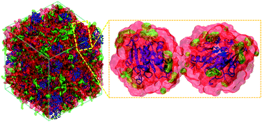 Graphical abstract: An atomistic view of solvent-free protein liquids: the case of Lipase A