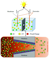 Graphical abstract: Tripling the reverse electrodialysis power generation in conical nanochannels utilizing soft surfaces