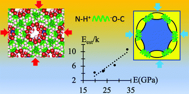 Graphical abstract: Understanding the unusual stiffness of hydrophobic dipeptide crystals