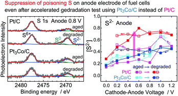 Graphical abstract: Sulfur poisoning of Pt and PtCo anode and cathode catalysts in polymer electrolyte fuel cells studied by operando near ambient pressure hard X-ray photoelectron spectroscopy