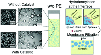 Graphical abstract: The quantitative impact of fluid vs. solid interfaces on the catalytic performance of pickering emulsions