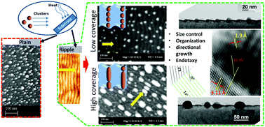 Graphical abstract: Observation of ordered arrays of endotaxially grown nanostructures from size-selected Cu-nanoclusters deposited on patterned substrates of Si