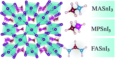 Graphical abstract: The role of the A-cations in the polymorphic stability and optoelectronic properties of lead-free ASnI3 perovskites