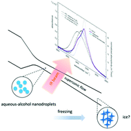 Graphical abstract: The freezing behavior of aqueous n-alcohol nanodroplets