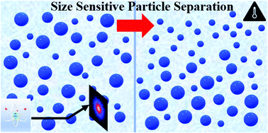 Graphical abstract: Concentration and size effects on the size-selective particle purification method using the critical Casimir force