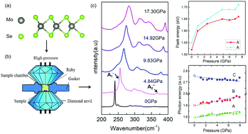 Graphical abstract: Wrinkle and near-resonance effects on the vibrational and electronic properties in compressed monolayer MoSe2