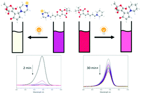 Graphical abstract: A simple strategy to overcome concentration dependence of photoswitching properties in donor–acceptor Stenhouse adducts