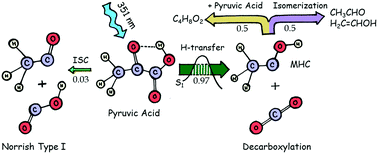 Graphical abstract: Primary photodissociation mechanisms of pyruvic acid on S1: observation of methylhydroxycarbene and its chemical reaction in the gas phase