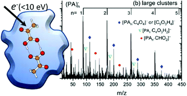 Graphical abstract: Stability of pyruvic acid clusters upon slow electron attachment