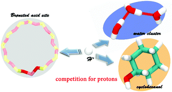 Graphical abstract: Insights into protonation for cyclohexanol/water mixtures at the zeolitic Brønsted acid site