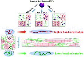 Graphical abstract: Optimizing the heterogeneous network structure to achieve polymer nanocomposites with excellent mechanical properties