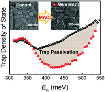 Graphical abstract: Influence of the MACl additive on grain boundaries, trap-state properties, and charge dynamics in perovskite solar cells