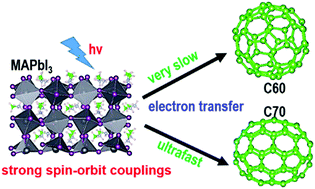 Graphical abstract: The spin–orbit interaction controls photoinduced interfacial electron transfer in fullerene–perovskite heterojunctions: C60versus C70