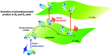 Graphical abstract: Experimental observation of the unique solvation process along multiple solvation coordinates of photodissociated products