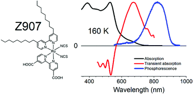 Graphical abstract: Photophysical properties of N719 and Z907 dyes, benchmark sensitizers for dye-sensitized solar cells, at room and low temperature