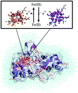 Graphical abstract: The redox potential of a heme cofactor in Nitrosomonas europaea cytochrome c peroxidase: a polarizable QM/MM study