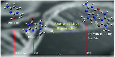 Graphical abstract: Experimental and theoretical assessment of protonated Hoogsteen 9-methylguanine–1-methylcytosine base-pair dissociation: kinetics within a statistical reaction framework