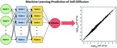 Graphical abstract: Artificial neural network prediction of self-diffusion in pure compounds over multiple phase regimes