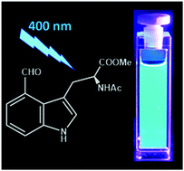 Graphical abstract: Tuning the electronic transition energy of indole via substitution: application to identify tryptophan-based chromophores that absorb and emit visible light
