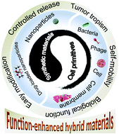 Graphical abstract: Cell primitive-based biomimetic functional materials for enhanced cancer therapy