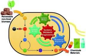Graphical abstract: Tools and strategies of systems metabolic engineering for the development of microbial cell factories for chemical production