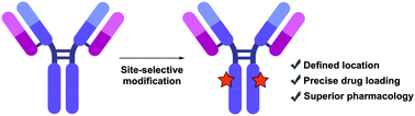 Graphical abstract: Site-selective modification strategies in antibody–drug conjugates