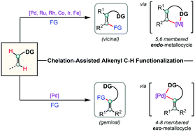 Graphical abstract: Recent advances in chelation-assisted site- and stereoselective alkenyl C–H functionalization