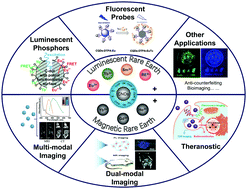 Graphical abstract: When rare earth meets carbon nanodots: mechanisms, applications and outlook